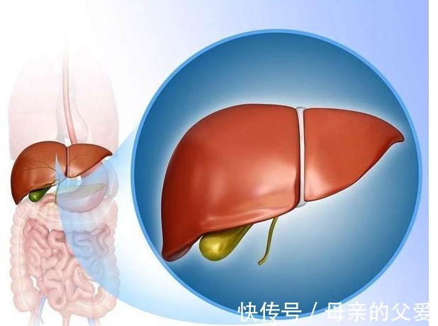 肝脏|肝脏不好的人,身体或有这6个表现,不妨自测一下
