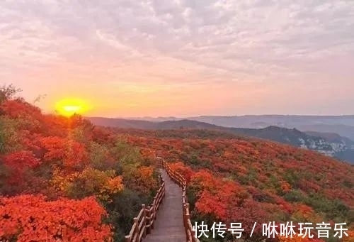 青天河景区|青天河｜金秋时节，来这座“红叶王国”感受那“枫”情万种的美！