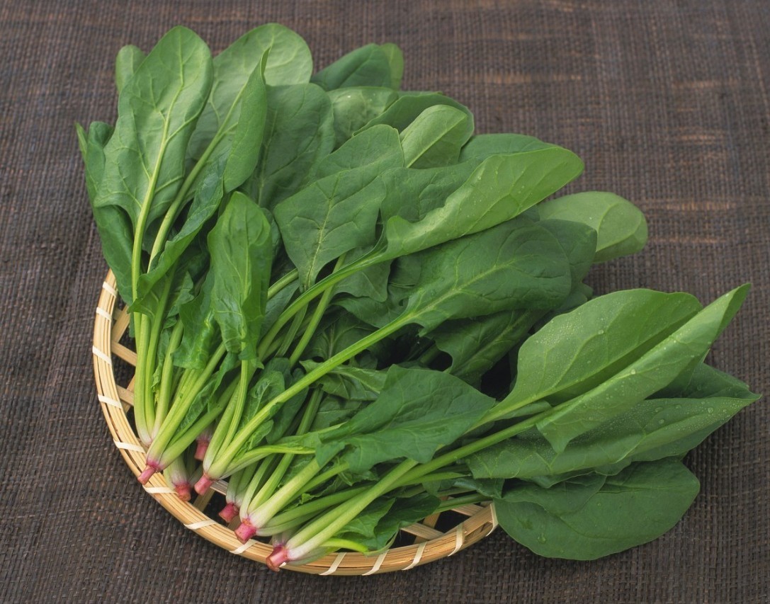 菠菜|宋美龄的养生秘诀,才知道她为何40岁患癌,却能活到106岁