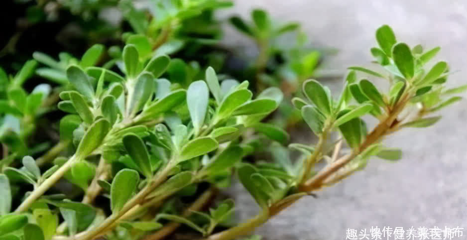 食物|人到中年想长寿，3种食物换着吃，保护肠胃健康，还能排毒抗衰老