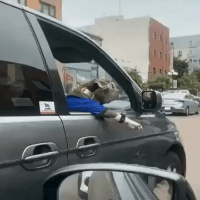 |搞笑GIF：看那双无处安放的小眼神，透出一股小沈阳的淡淡忧桑！