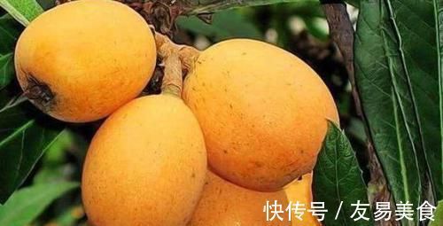 包心菜|每天可以多吃3种食物,美容养颜、滋润肌肤,早吃早受益!