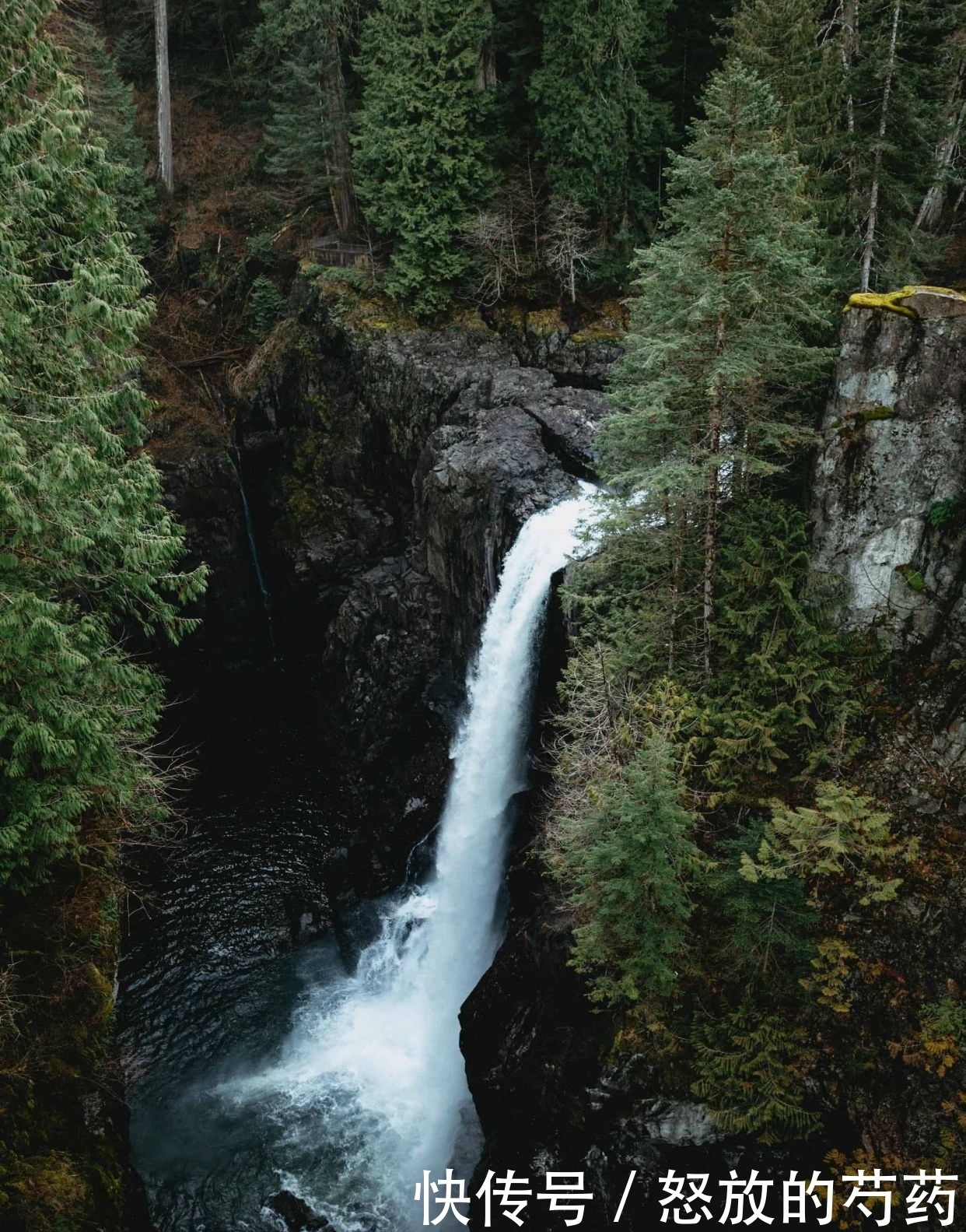 精髓|化氏饵料归类:最全化氏饵料配方大全【转载分享】(精髓)