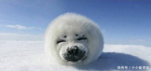 n10个趣味冷知识!咽下口香糖,肚里呆7年吗