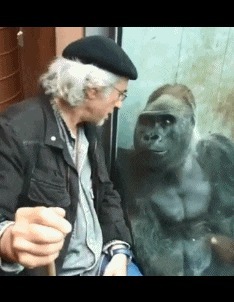 |搞笑GIF：晚上女神突然发了一张图过来 她是不是在暗示我什么