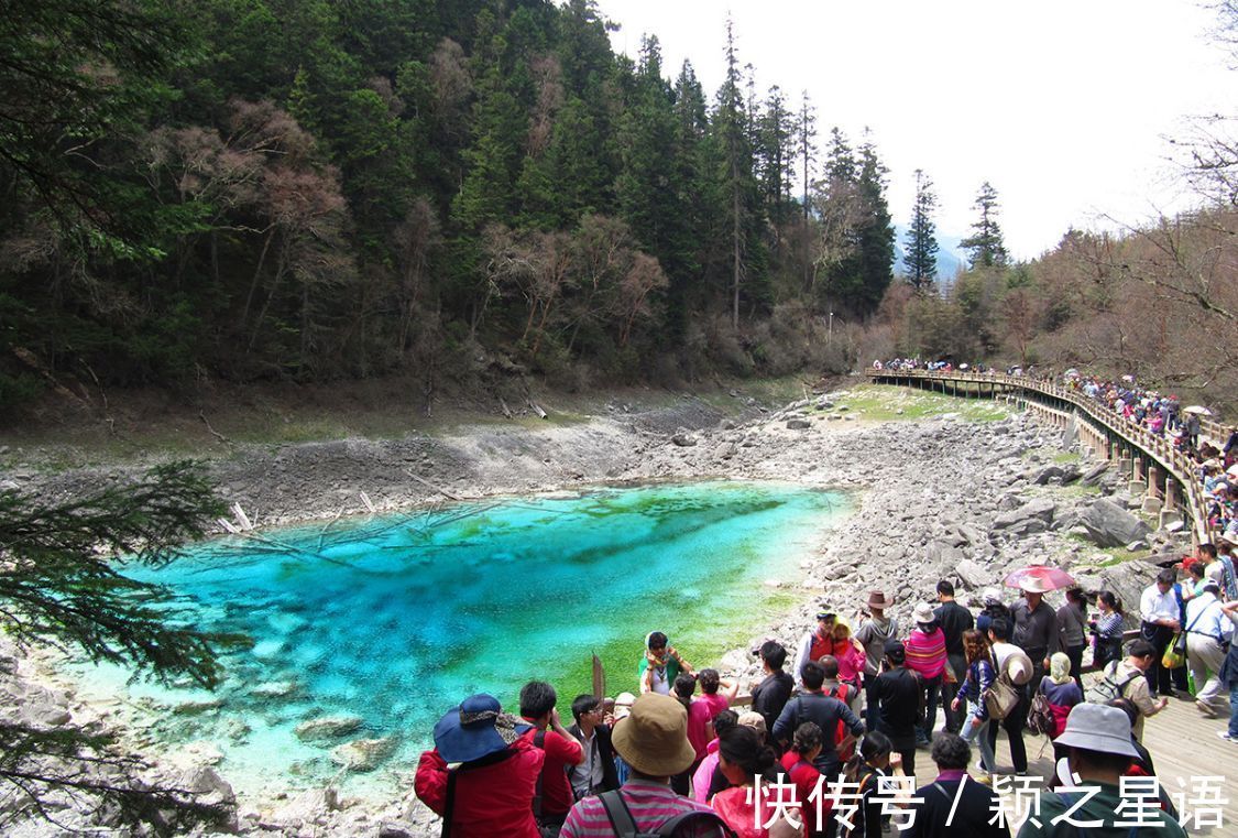 瀑布|游历九寨沟，乘观光车至箭竹海，沿步道赏遍九寨精华