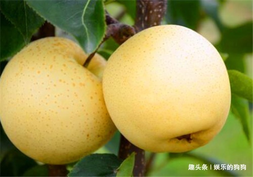 食物|冬天女性可以坚持吃4种食物，排出毒素，活血护肝，滋养女性子宫