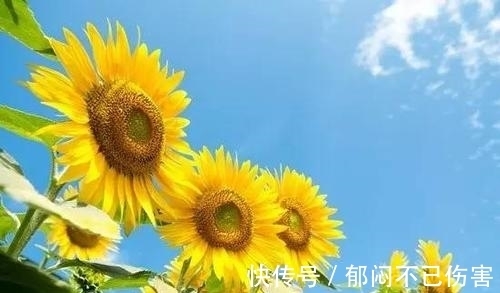 睡眠质量|人人都想长寿，看看这对夫妻长寿的秘诀：丈夫98岁，妻子112岁！