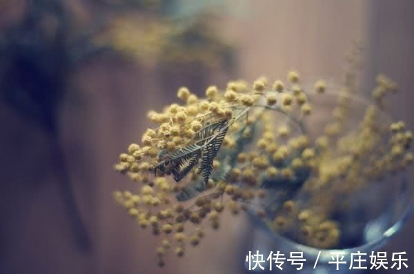 天蝎座|最难挽回的四大星座，尤其是最后一位，一旦离开很难再“回头”！