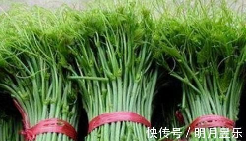 云龙菜|女性到了中年,常吃3种食物,刮油消脂,排毒减肥,营养又瘦身!