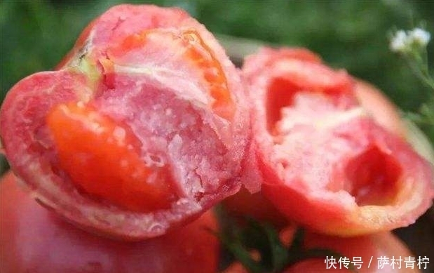 常成熟的西|买西红柿,圆的和尖的选哪种?卖菜大姐:有3种不要买,是催熟的