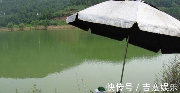 盛夏如何野钓鲫鱼,只需五招轻松有效!