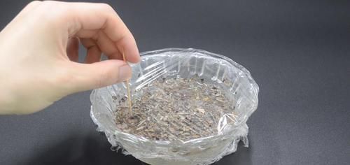 茶叶放白醋里泡一泡,真是厉害了,解决家家都困扰的烦恼,太棒了