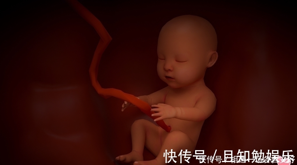 宁宁|为什么准妈妈的肚子会时大时小,有时还“左右不对称”?原因有五