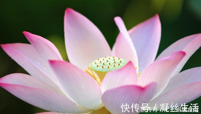 医生|养生不止饮食、运动……外求不如内求,内省功夫尤为关键