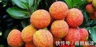 巧克力|不能放进冰箱的7种食物,越放坏得越快,建议告知家人