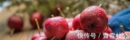 菊花茶|山楂是隐藏的“养生高手”,搭配对了,还能够降血压、化积食