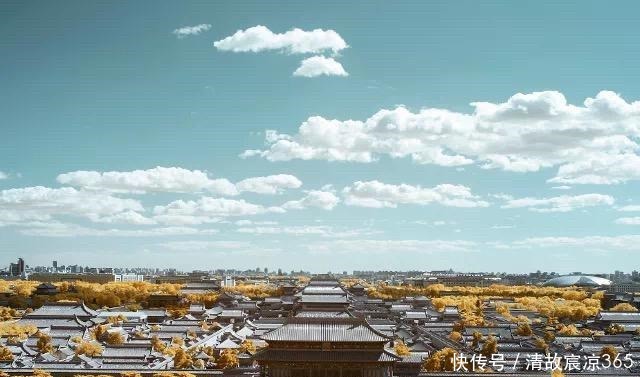 50岁以后,最好的活法!