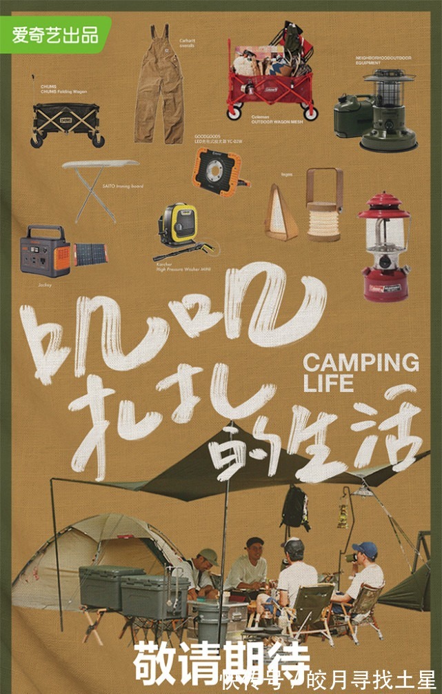 t新綜藝、老綜藝“打架”拒絕emo就看TA們了!