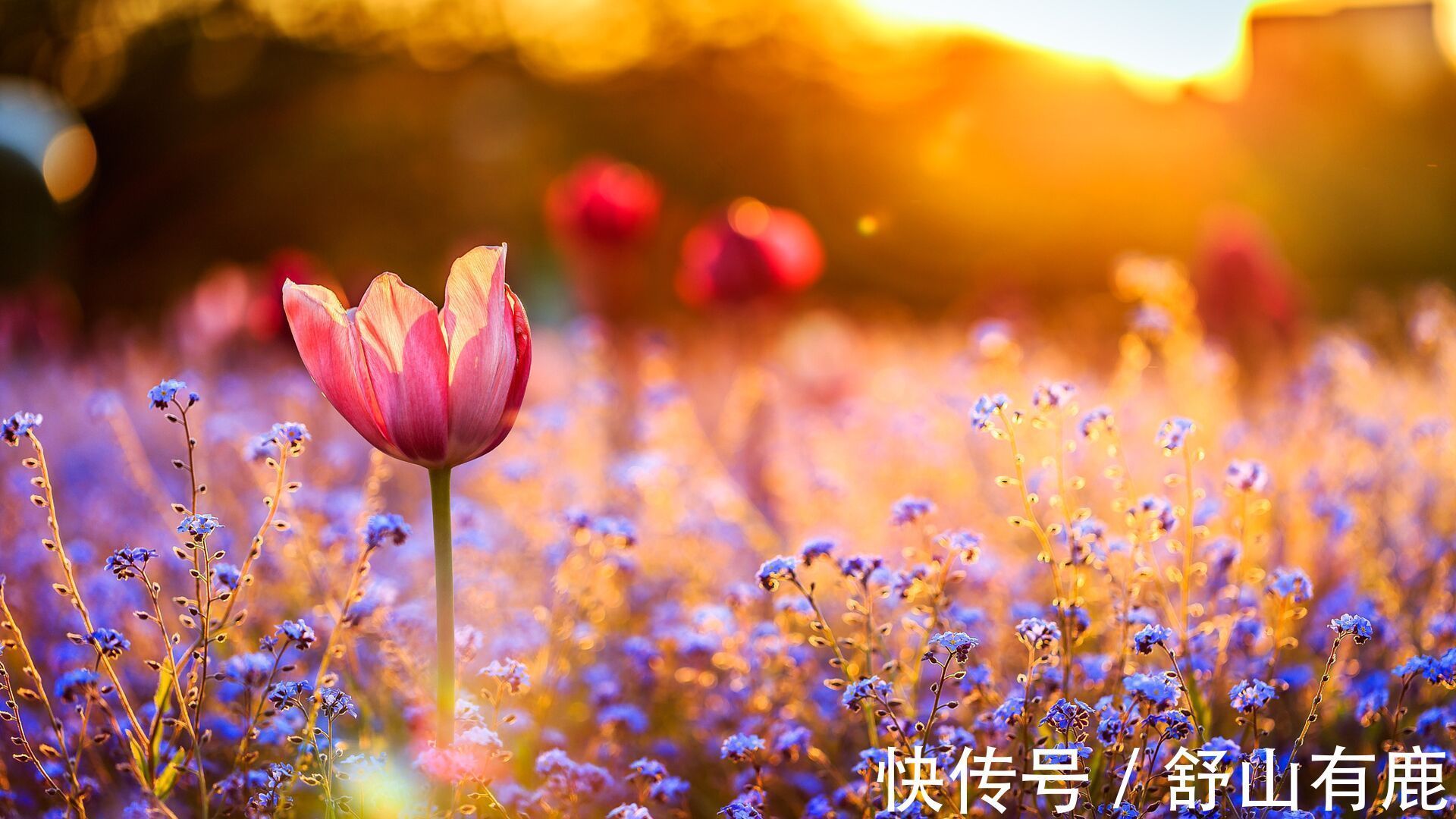 朴素&“人若害你,天必救你”:这些人,哪怕处于低谷,也能苦去福来