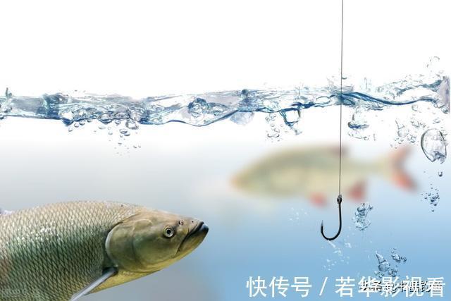 灵顿|子线的长度将会决定你渔获的多寡,错误的子线用法不仅没口还空军