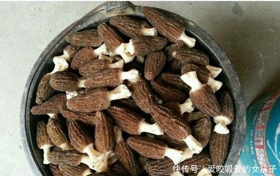 旅游瞎拍竟发现一片皱巴巴东西,一查竟是满满的财富!