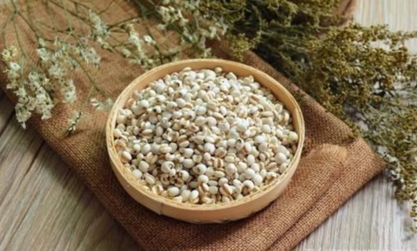 苦瓜|湿气重吃什么食物最好这3种不妨试一试帮你排出湿气