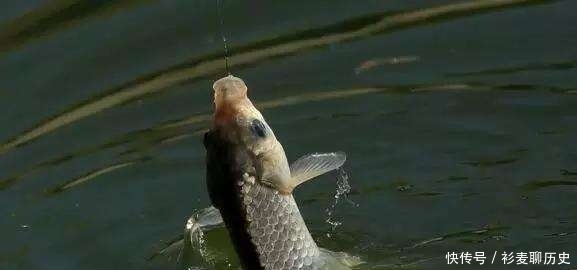 秋季野钓时，新手如果能做到这3点，老钓友都只能甘拜下风！