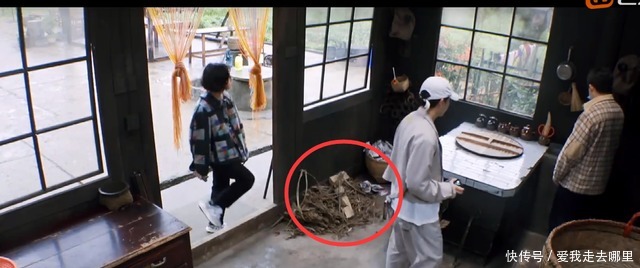 何炅|张子枫双手拿碗跟张艺兴碰,在哥哥面前敷面膜泡脚,没有少女架子