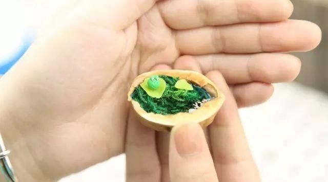 保证|吃完的坚果不能丢,坚果壳变身记,保证创意一箩筐