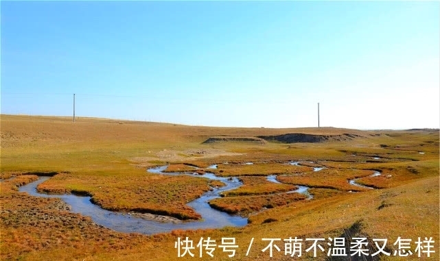 水流|地球“最窄”的河，胖点的鱼都游不过去，拿本书放上去能够当桥