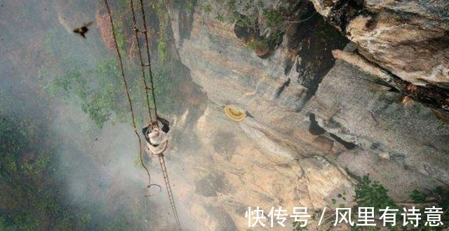 采蜜人|喜马拉雅悬崖上的采蜜人：百米高空拿命采蜜，每公斤蜂蜜卖2万元