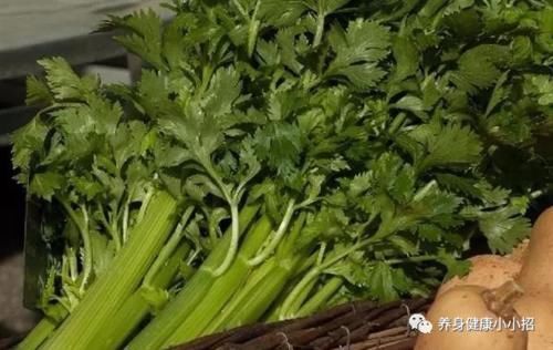 芹菜|炒芹菜不能放此物,吃了就是没病找病!却还有人不清楚