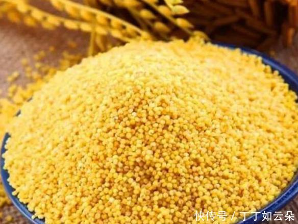 牢记|煮小米粥,直接下锅就“废了”,牢记这3个小妙招,米油香浓好喝