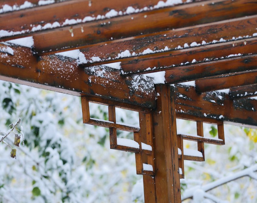 冬雪|山传初雪，许你一场深情共白头