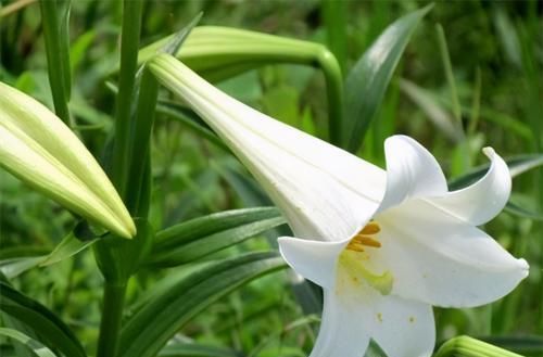 爱美女性可以多吃3种食物，补血护肤，抗衰老，增强体质