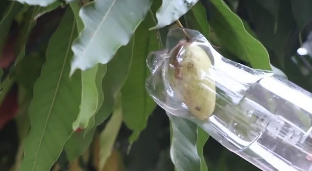 窗帘|她把塑料瓶放在窗帘上,解决了千万人的烦恼。。。