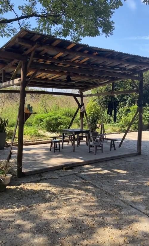 打扫|失去了节目滤镜,蘑菇屋变成另一种状态,满地落叶屋里堆满杂物