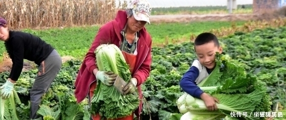 俗语:“家有四样,家兴人旺”,指哪4样?你家占几样?