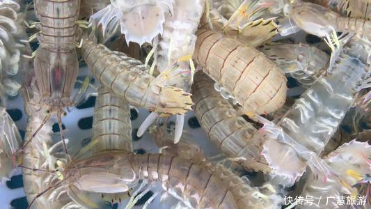 日照美食是海鲜,外地游客来日照建议品尝海鲜,避免被宰有心得