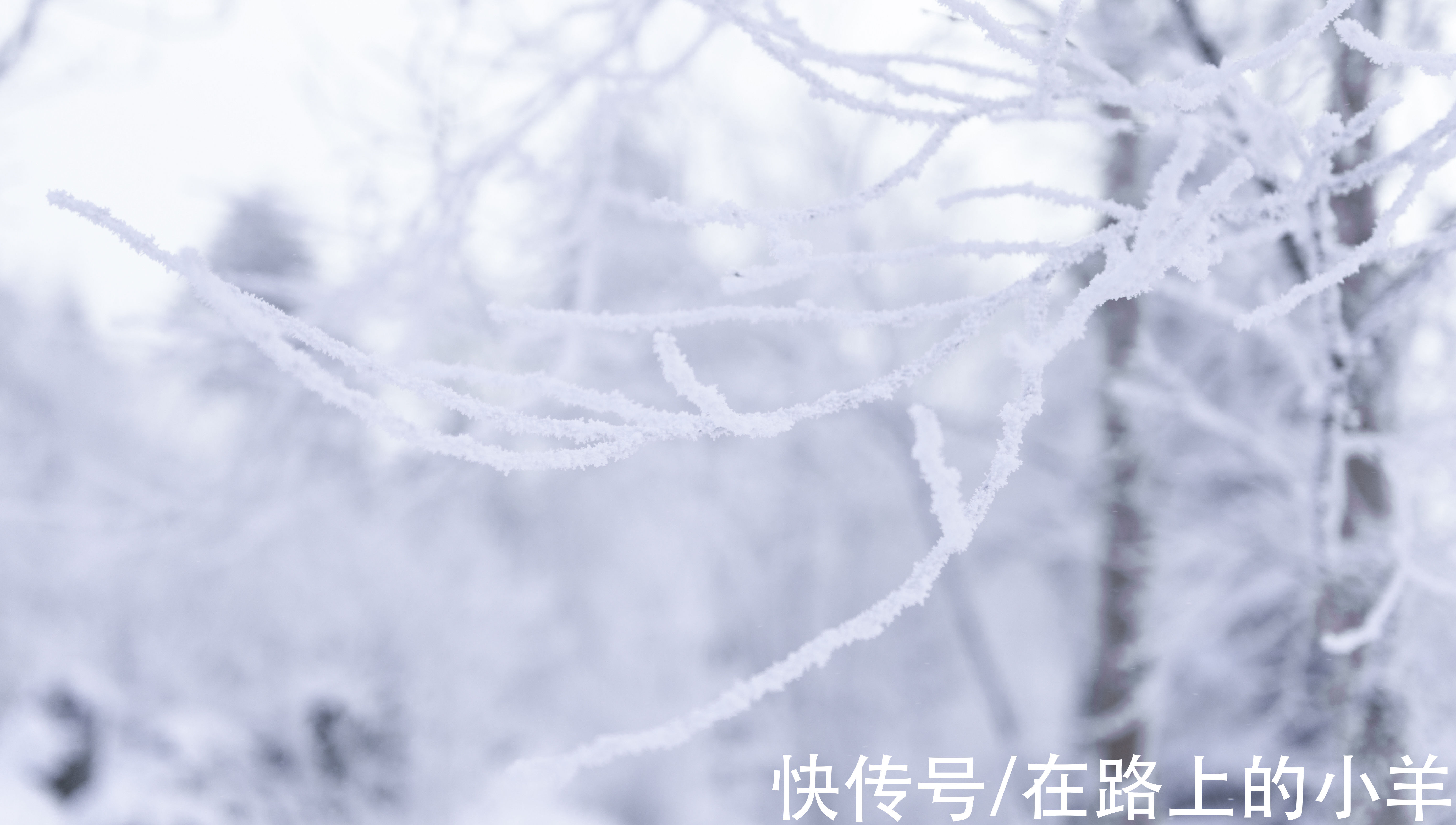 万科|旅游全国唯一“省和市同名”的城市，体验不输北海道的玩雪天堂