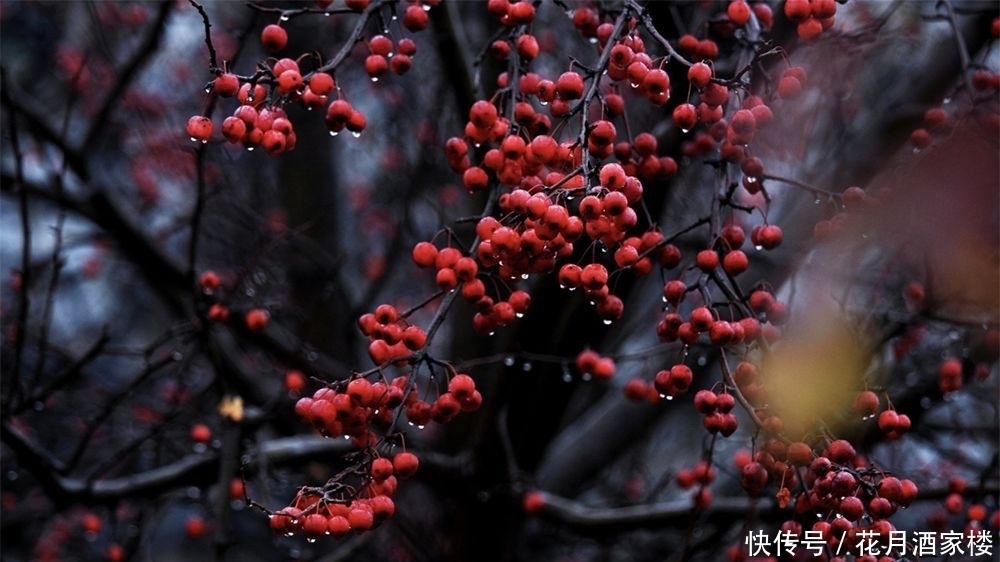 苏州太湖西山岛|苏州人的宝岛秘境,美成仙境,却被时光遗忘!