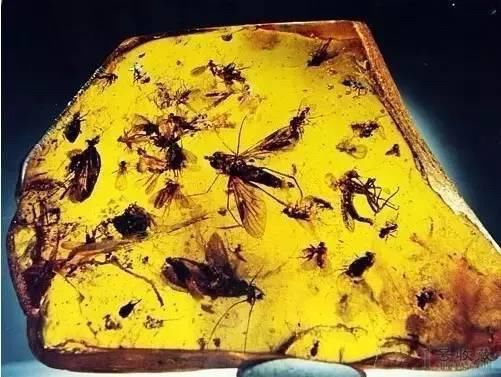 石头|世界上最美的石头,难得一见!