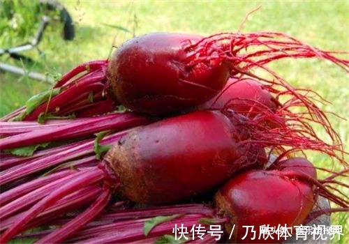 甜菜叶|人到中年想长寿，推荐吃4种食物，排出毒素，净化血液，延缓衰老