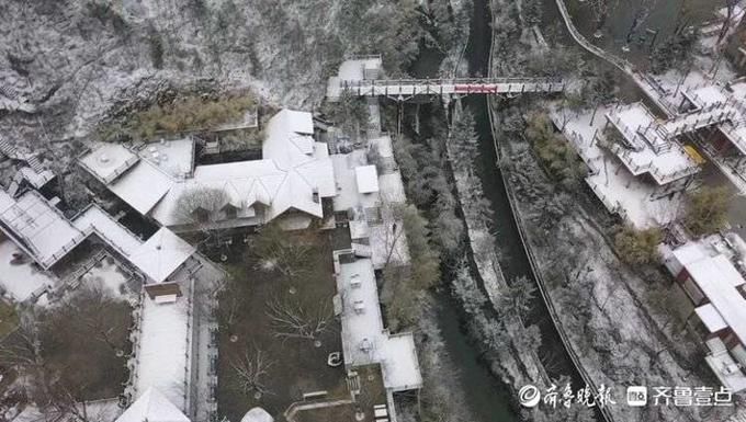 温柔飞雪再迎春，济南南山湿漉漉雪蒙蒙