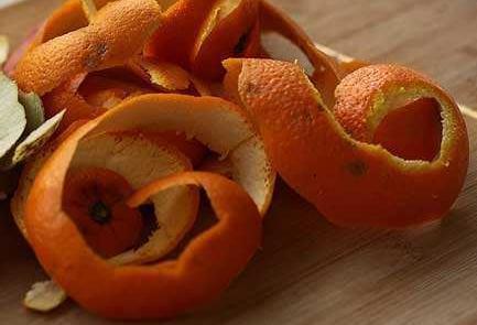 四季海棠“开花慢”吃点“小垃圾”，花朵钻全枝，花赏四季不断