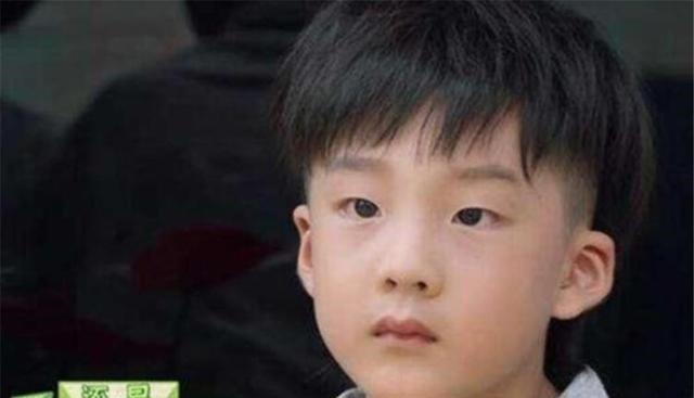 家长|研究发现:更锻炼宝宝大脑发育的并非读书,而是家长禁止的这件事