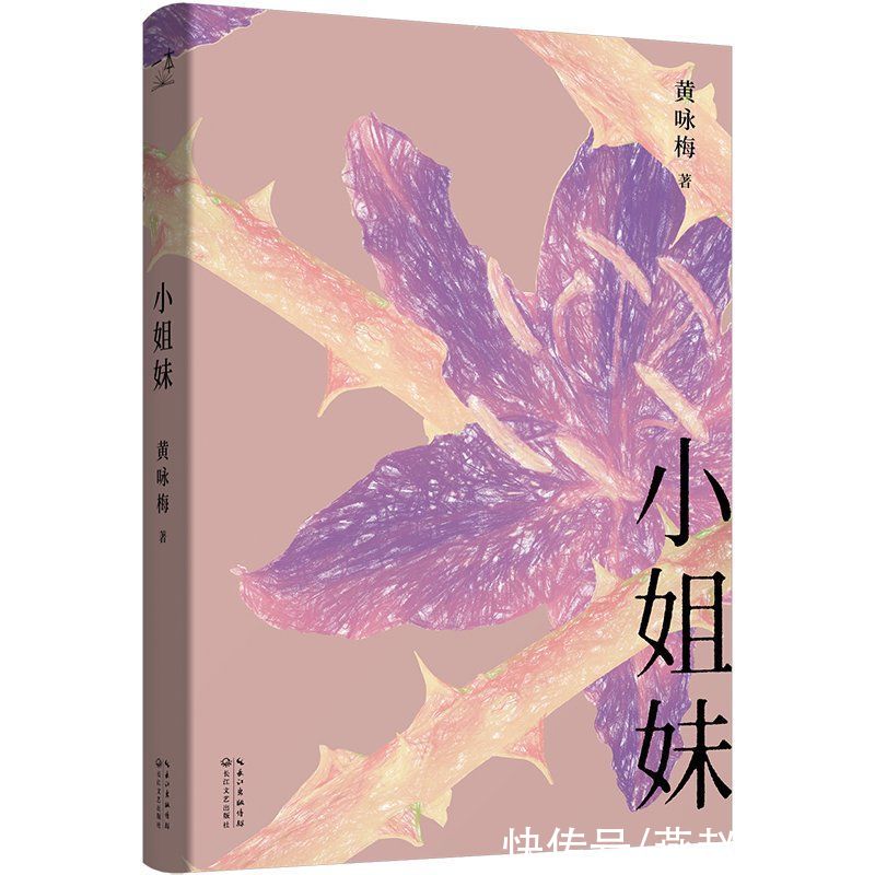 汪曾祺|黄咏梅短篇小说集《小姐妹》出版