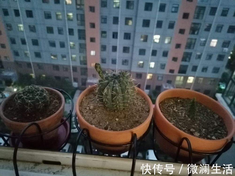 4个擦玻璃的小妙招,只要记住一个,玻璃就能光亮如新