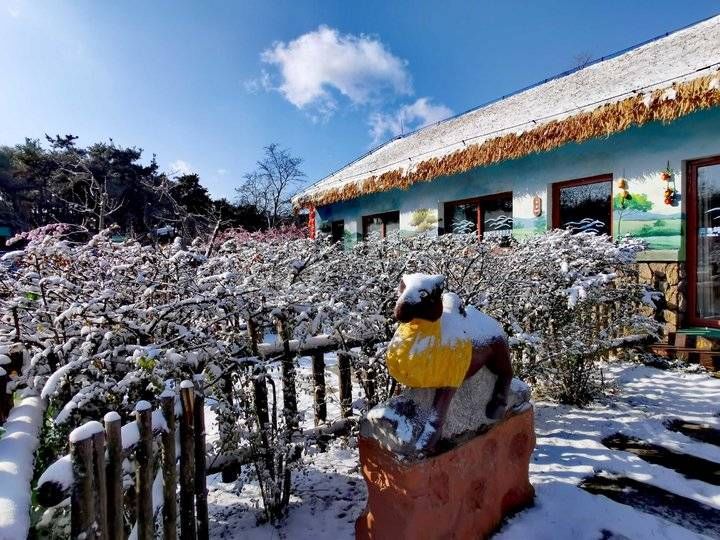 钟福生|齐鲁雪乡跑马岭景区昨晚下雪了